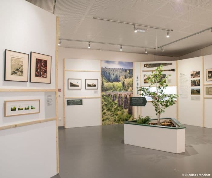 Visite de l’exposition « Impressions beaujolaises » · photo 1