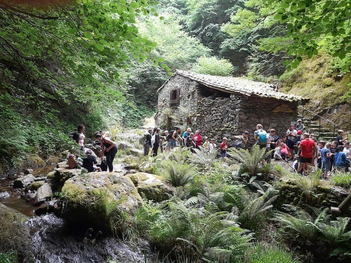 Visite guidée du moulin de la Laurède · photo 1