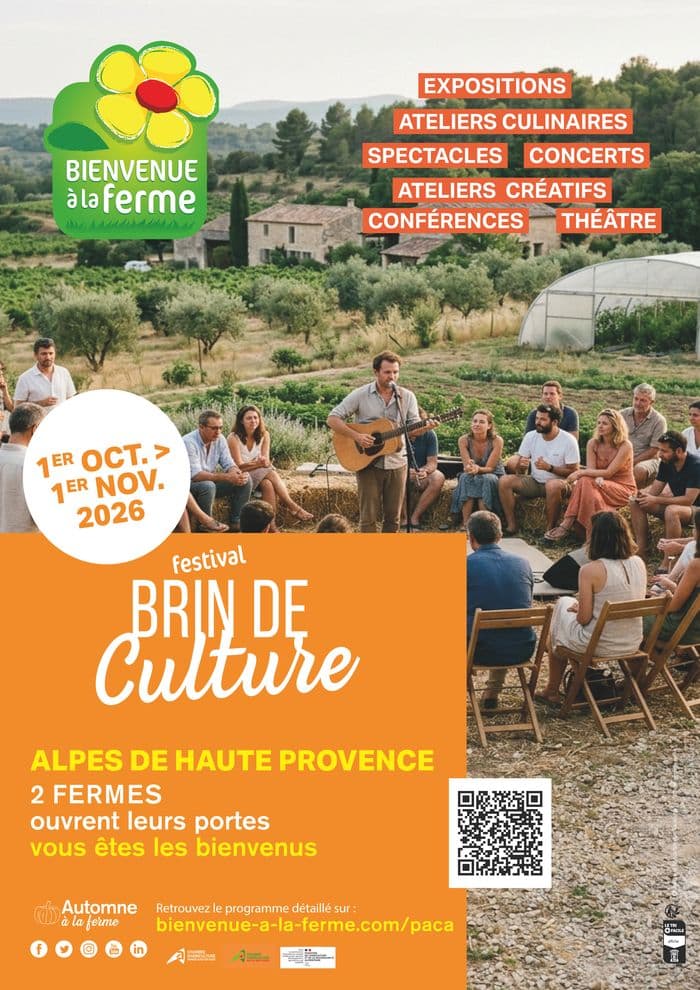 04 - Brin de culture · photo 1