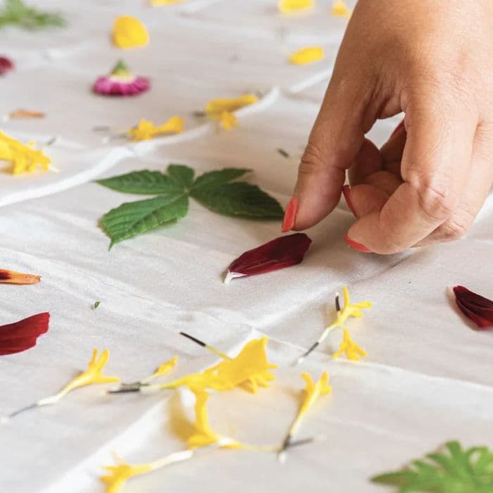 Atelier d'initiation au tatakizome et à l'écoprint · photo 1