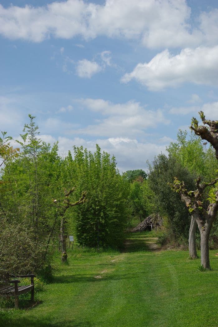 Visite guidée Arbres de Provence · photo 1