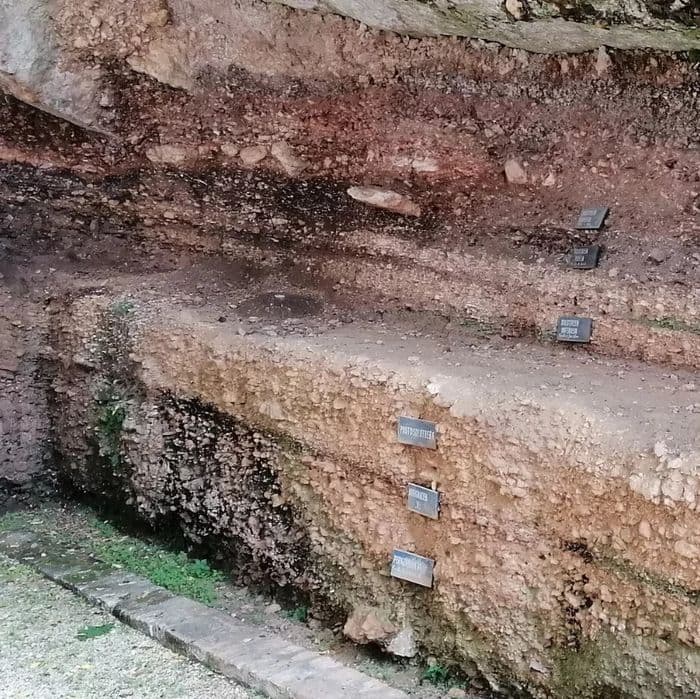 Visite accompagnée du Gisement de Laugerie-Haute · photo 1