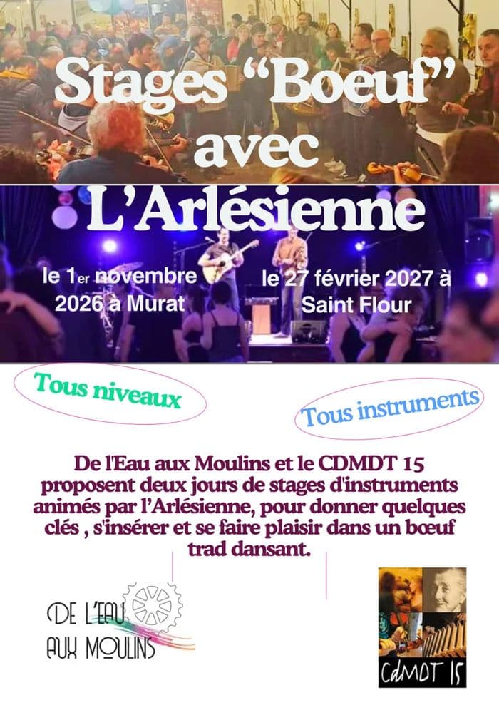 Stage de Boeuf Trad' avec L'Arlésienne · photo 1