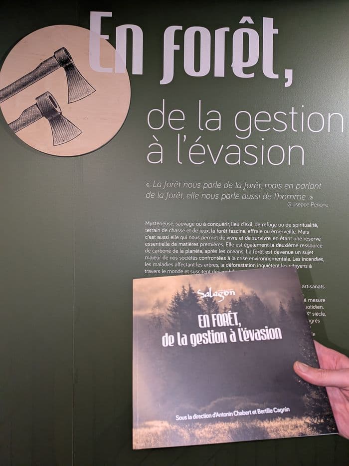 Visite guidée En forêt, de la gestion à l'évasion · photo 1