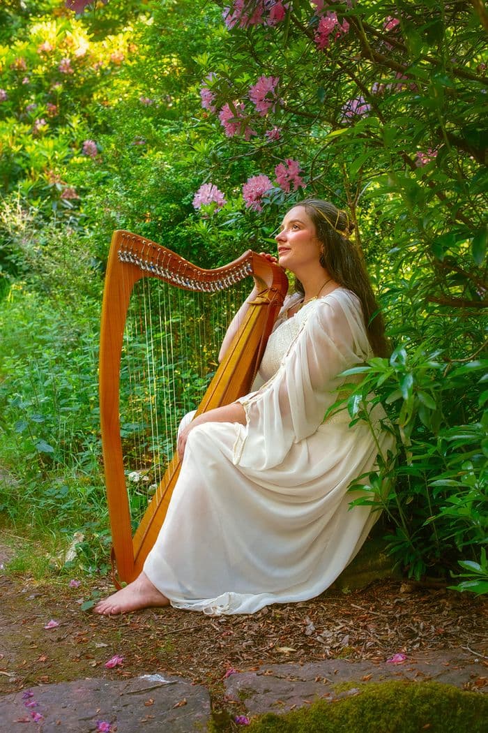 Concert de harpe celtique · photo 1