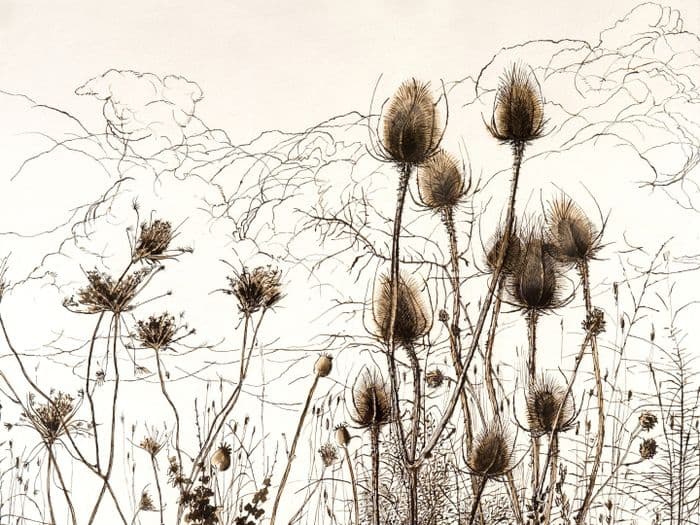 Exposition : "De la ligne à l’empreinte : Variation autour du trait" · photo 1