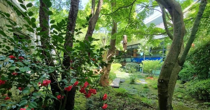 Visite du jardin japonais de Magny-le-Hongre · photo 1