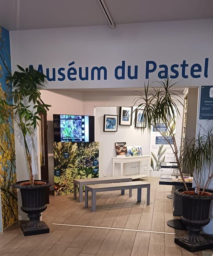 Entrée Muséum du Pastel gratuite · photo 1