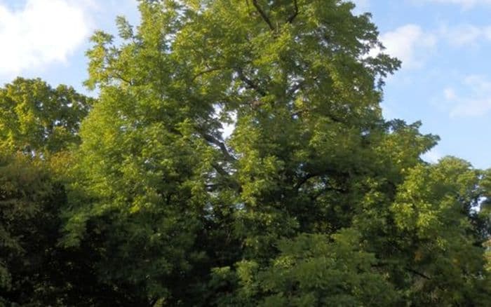 Visite guidée de l'Arboretum de Paris · photo 1