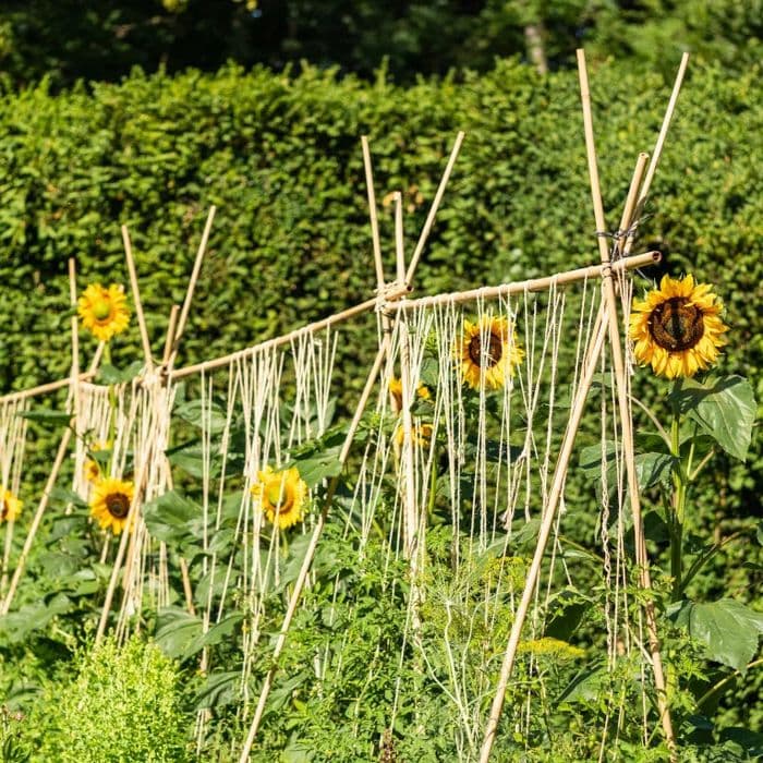 Les Jardins de Voltaire · photo 1
