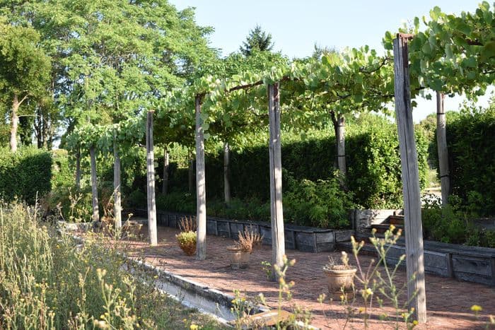 Vendanges · photo 1