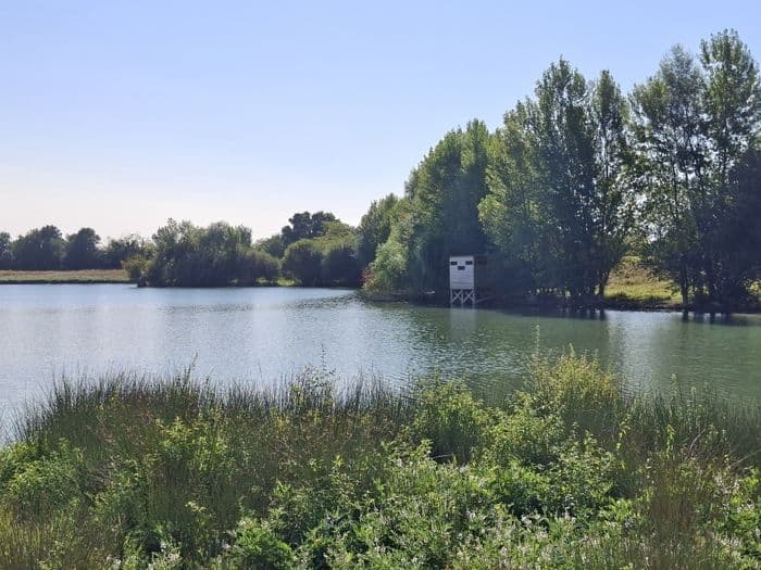 Découverte de la biodiversité au travers d'ateliers nature · photo 1
