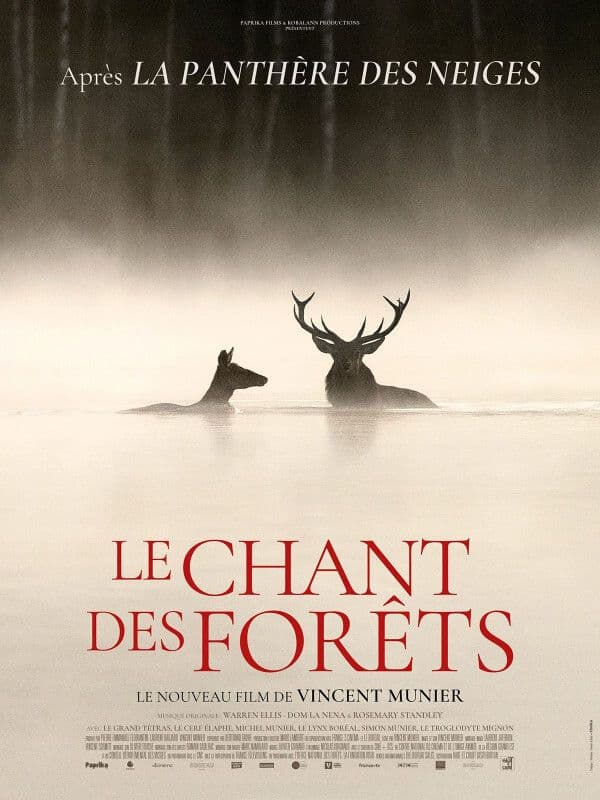 Le Chant des forêts · photo 1