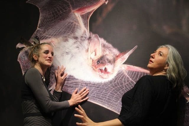 Les demoiselles de la nuit · photo 1