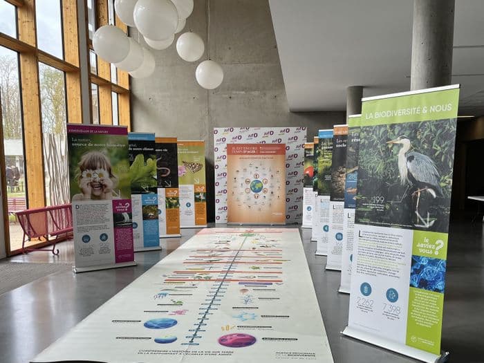 Exposition sur le patrimoine naturel à la Maison du Terroir et d'Animations de Beaulieu-sur-Loire · photo 1