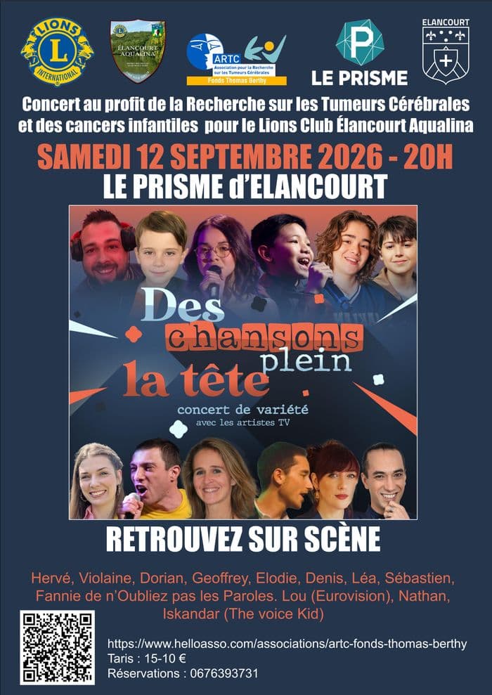 DES CHANSONS PLEIN LA TETE · photo 1