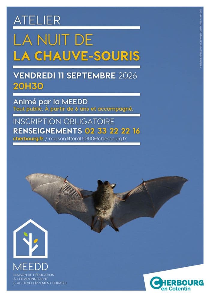 Nuit de la chauve-souris · photo 1