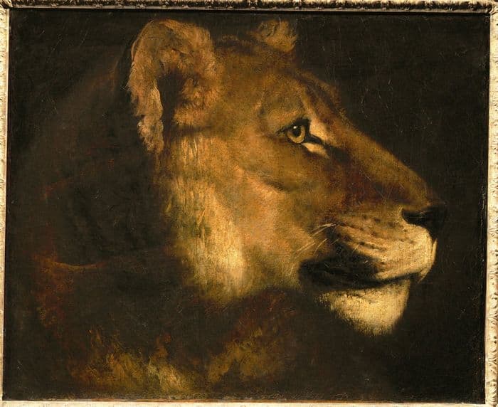 L'art animalier · photo 1