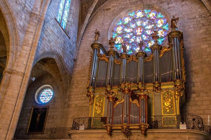 Visite commentée de l'orgue de la cathédrale Saint-Fulcran · photo 1