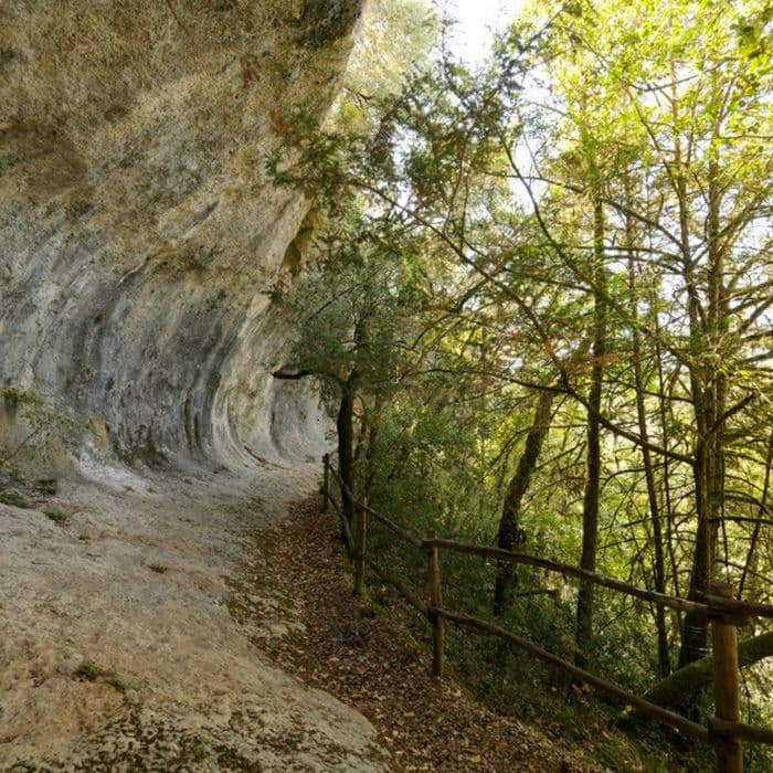 Balade sur les sentiers de Cro-Magnon · photo 1
