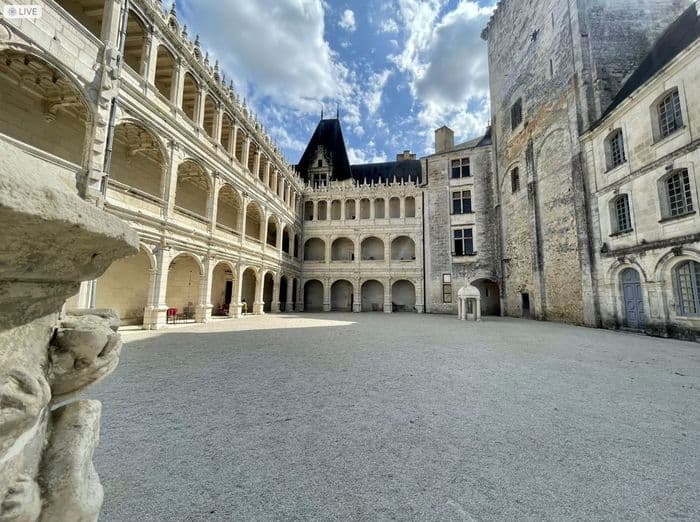 Visite du Château de La Rochefoucauld · photo 1