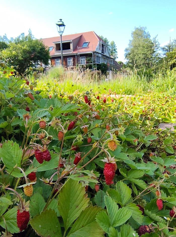 Visite guidée de La Rubanerie · photo 1