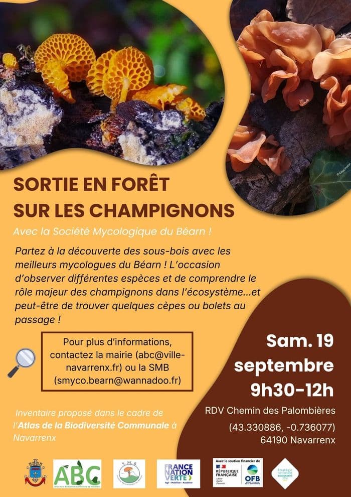 Sortie champignons · photo 1