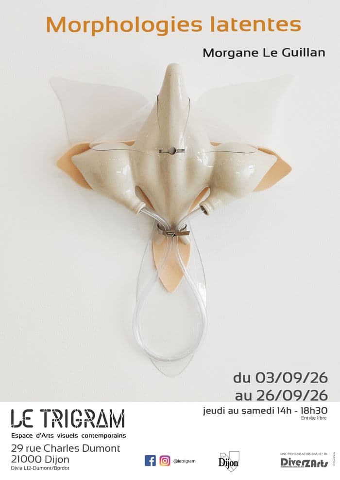 Morphologies latentes · photo 1
