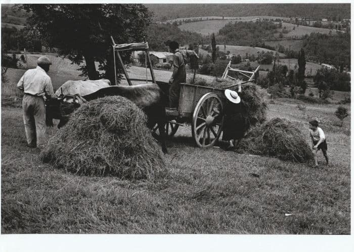 Exposition : Roquefixade en noir et blanc · photo 1