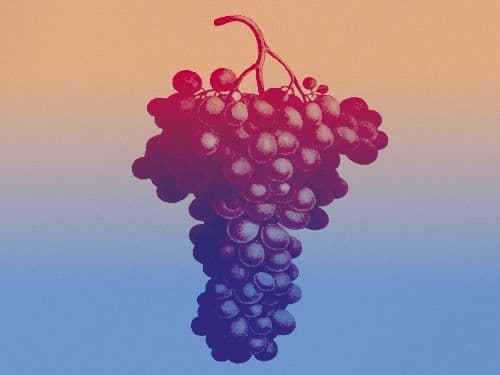 Fête des vendanges de Candie · photo 1