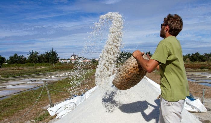 Visites guidées des marais salants de la Vie · photo 1