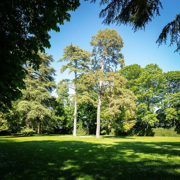 Balades Guidées - Le parc du Château de Ray-sur-Saône et ses détails · photo 1
