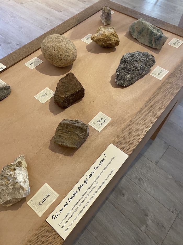 Découverte des minéraux et fossiles locaux · photo 1