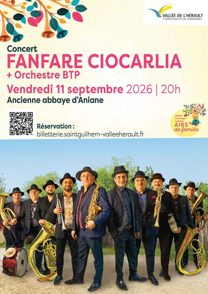 Fanfare Ciocarlia & Orchestre BTP · photo 1
