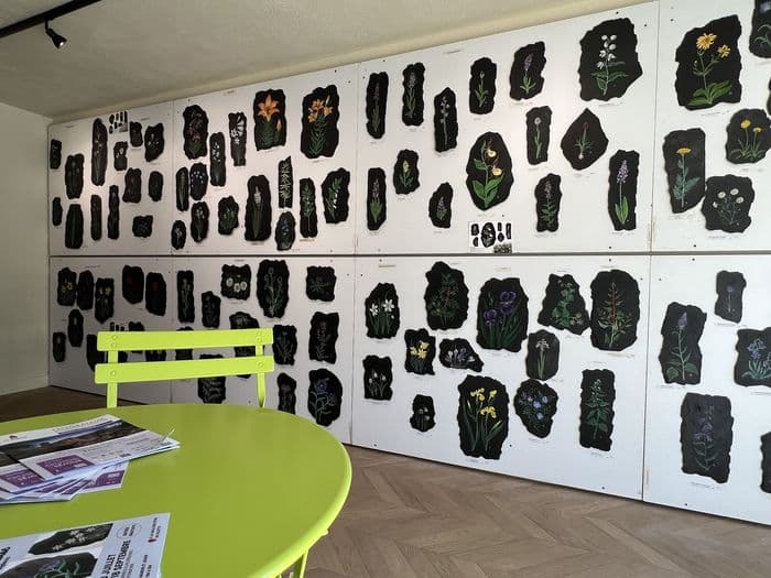 Exposition Fleurs des Alpes peintes sur ardoise · photo 1