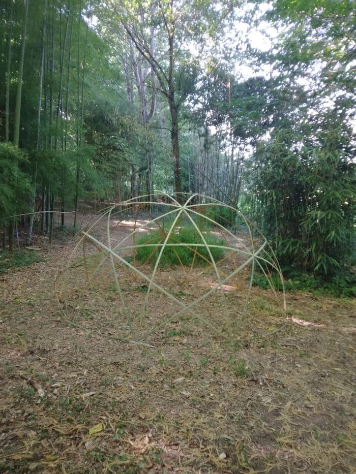 Visite de l'arboretum · photo 1