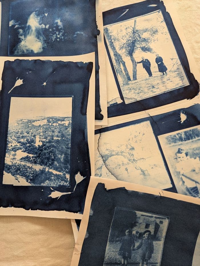 Atelier Cyanotype · photo 1