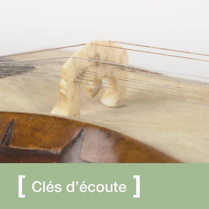 Clés de découverte des musiques et danses d'Inde du Nord | Instruments à cordes et lutherie en Inde du Nord · photo 1