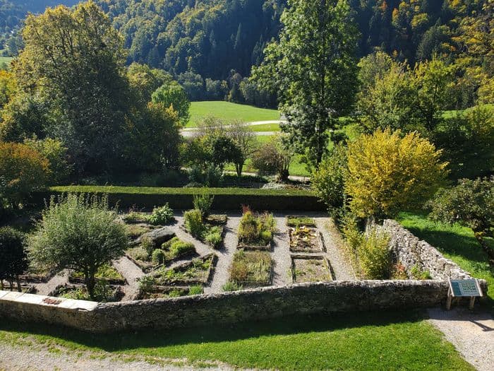 Visite du jardin des Simples · photo 1