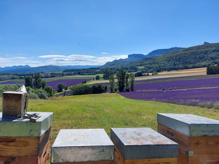 Visite de miellerie et dégustation de miels · photo 1