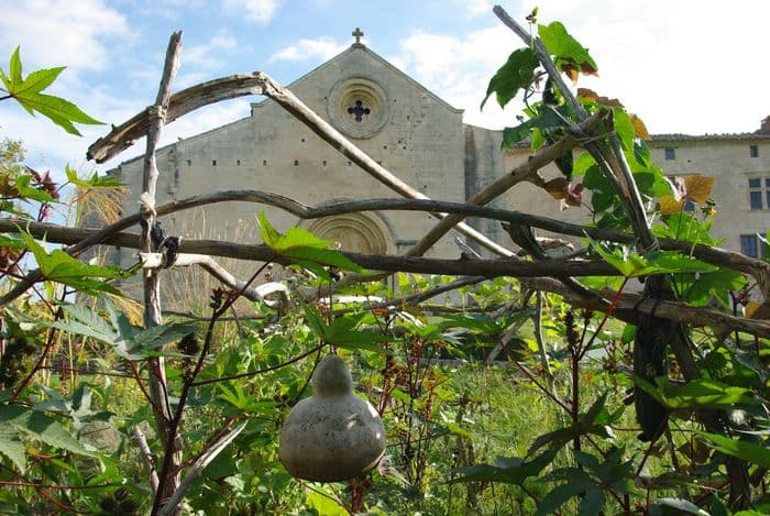 Visite Les plantes qui soignent · photo 1