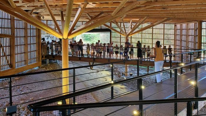 Visites guidées à Dinoplagne · photo 1