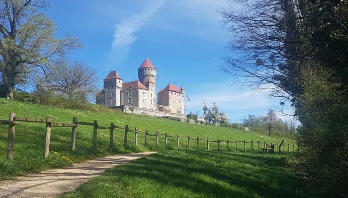 Balade à la découverte des plantes sauvages - Echappée botanique en pays de légendes au Saut du Fier (3h30) · photo 1