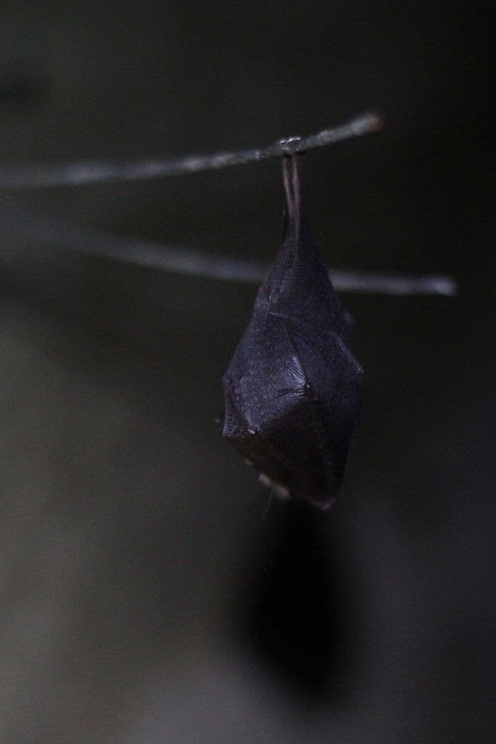 Vols de nuit · photo 1