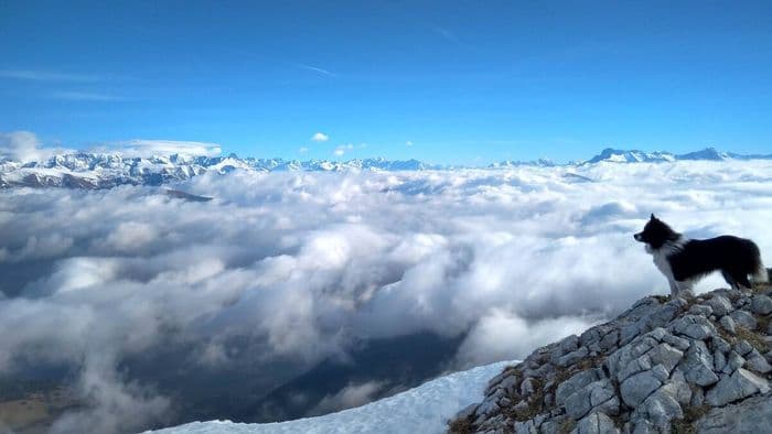 Exploration du Vercors sauvage · photo 1
