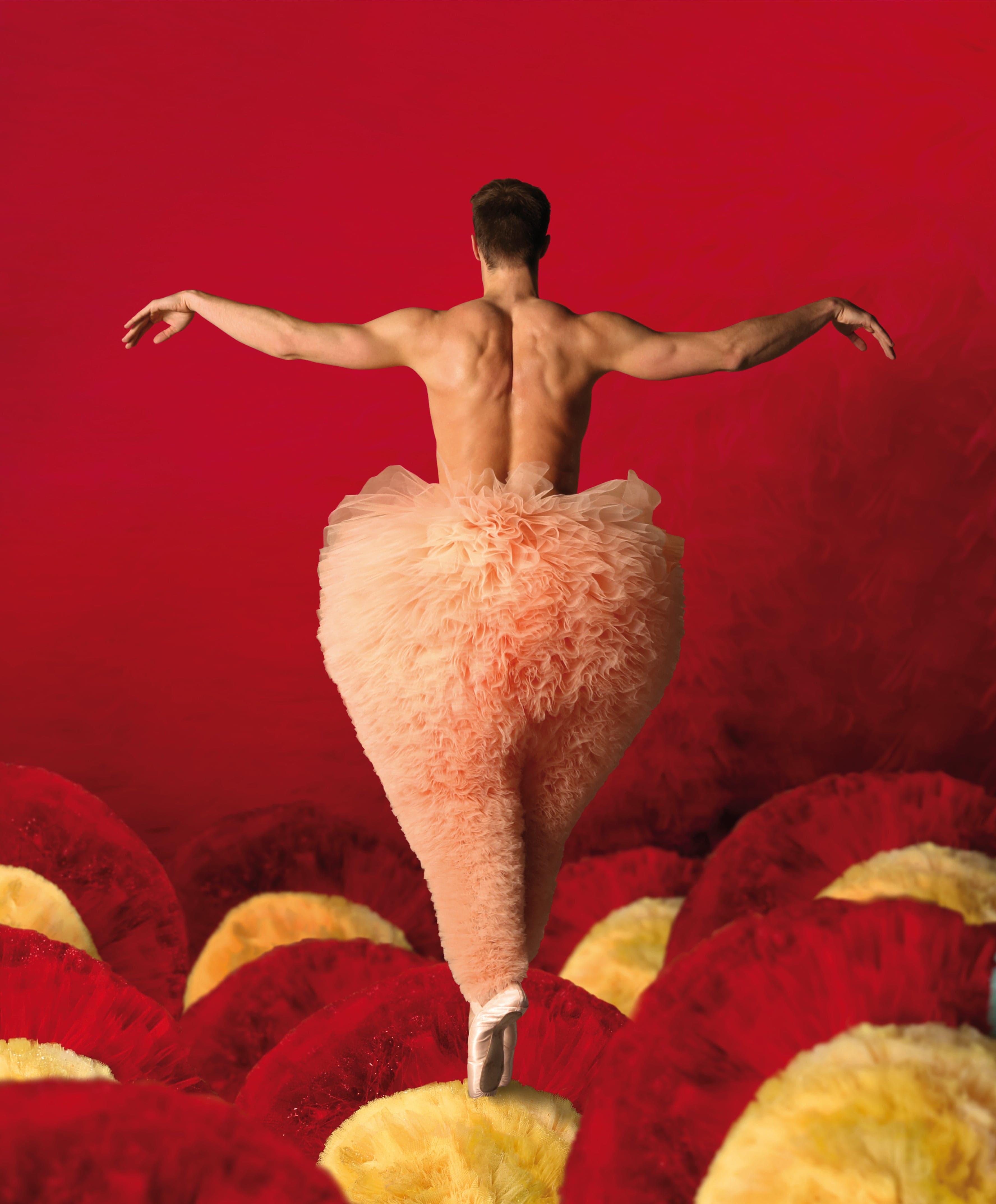 TUTU · photo 1