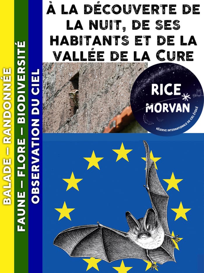 MORVAN - A la découverte de la nuit, de ses habitants et de la vallée de la Cure · photo 1